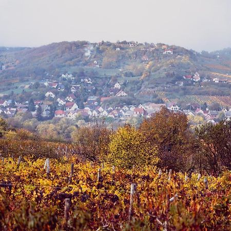 Barbár Borbár Apartman Szekszárd Kültér fotó