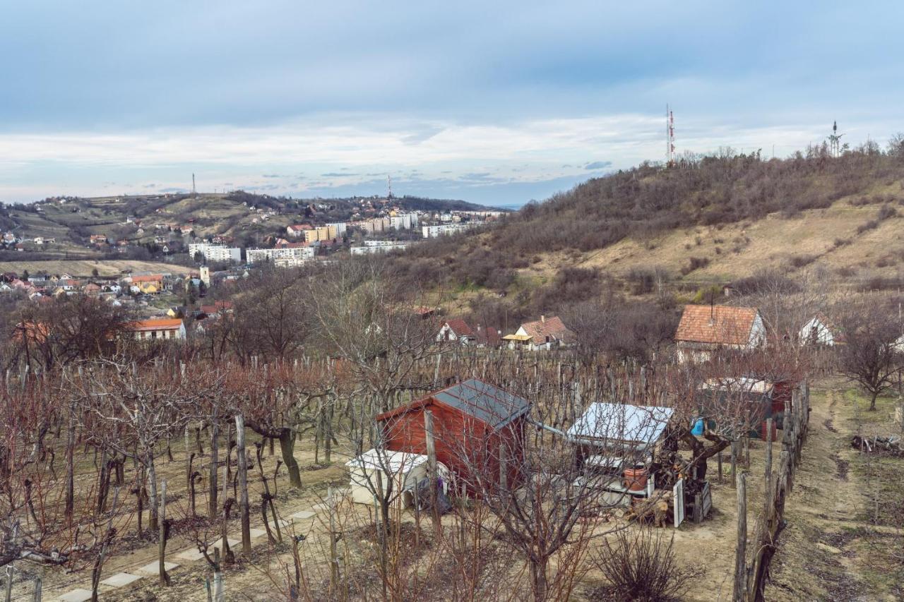 Barbár Borbár Apartman Szekszárd Kültér fotó